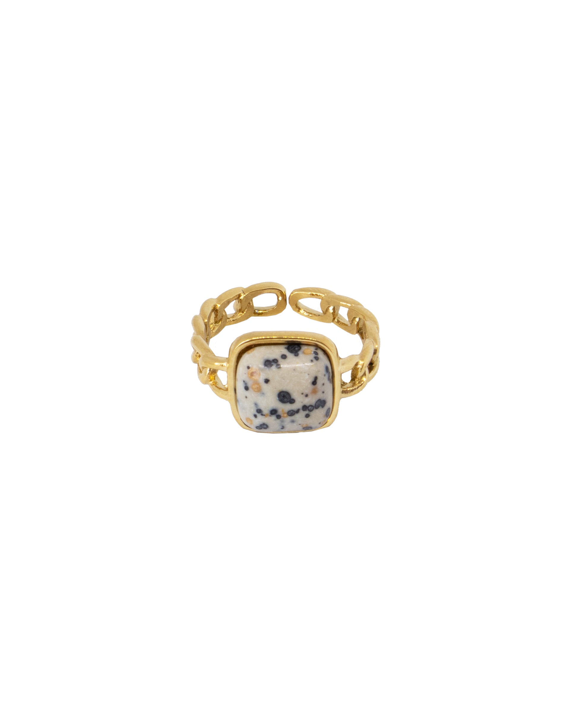 Ring 1001 Dalmatians